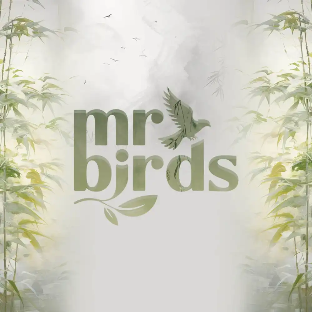 Mr Birds logo PSD template for branding, business, and social media posts