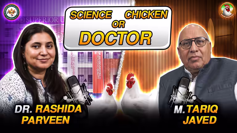 Poultry Industry Insights PSD featuring Dr. Rashida Parveen, Mian Tariq Javed, and Tollinton Market history.