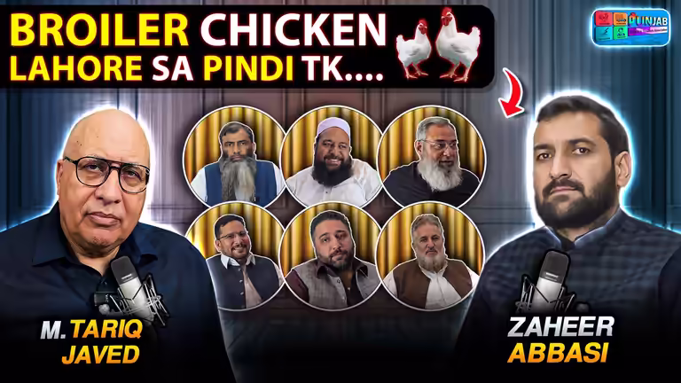Poultry Market Analysis PSD for YouTube thumbnails featuring Mian Tariq Javed and Broiler Chicken market updates.